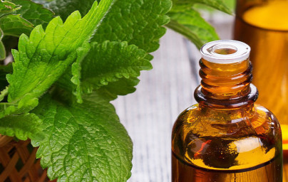 Pfefferminzöl (Mentha x piperita) Pfefferminzöl (Mentha x piperita)